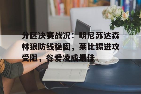  明尼苏达森林狼队季后赛战绩 