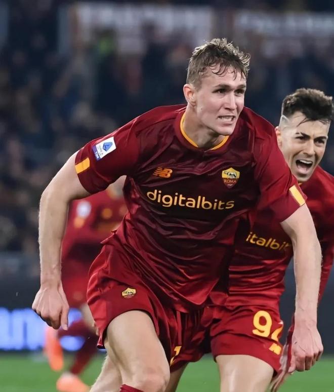  斯瓦泰克个人资料 